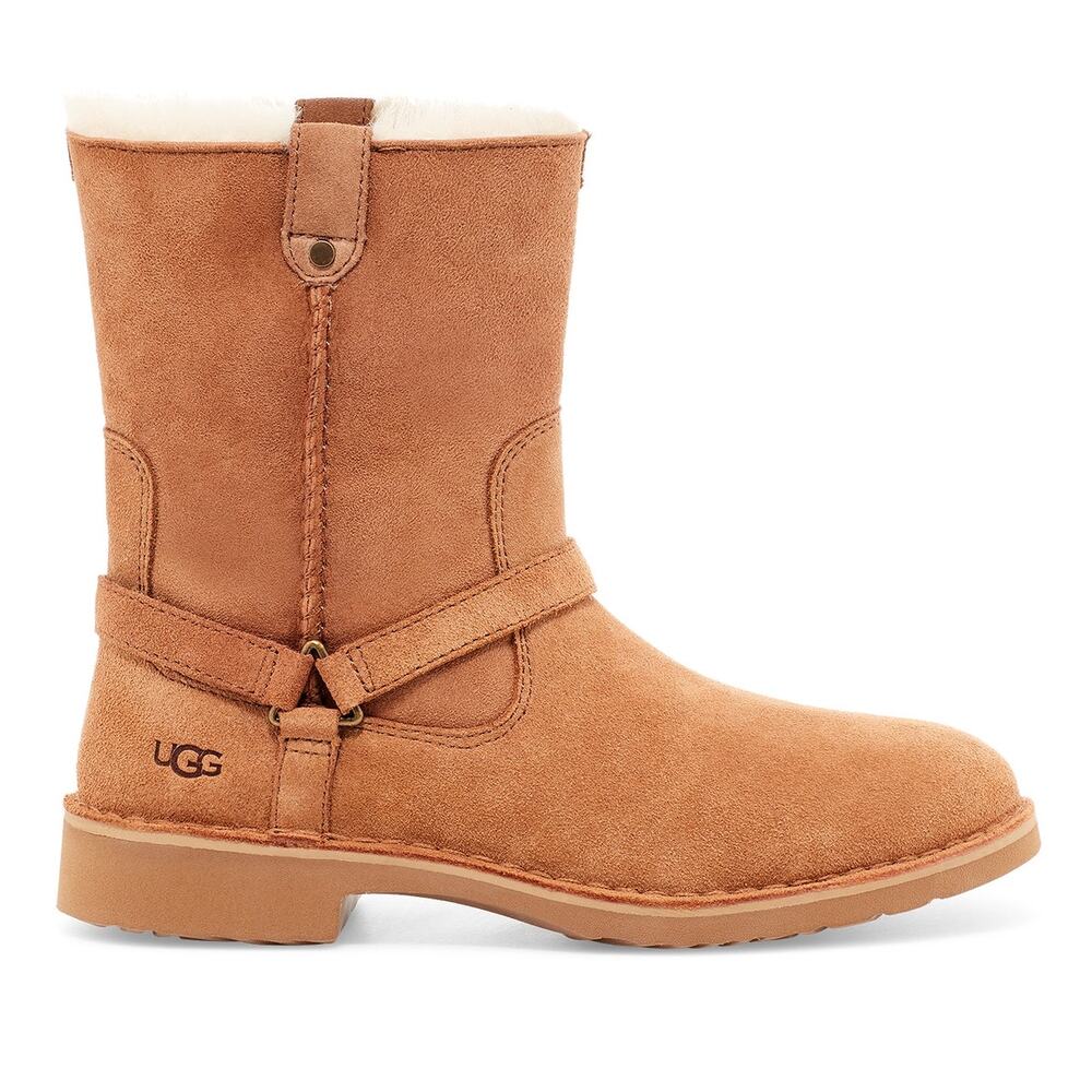 UGG Australia Women's Aveline Moto Harness Zip Chestnut Boot Sz 8